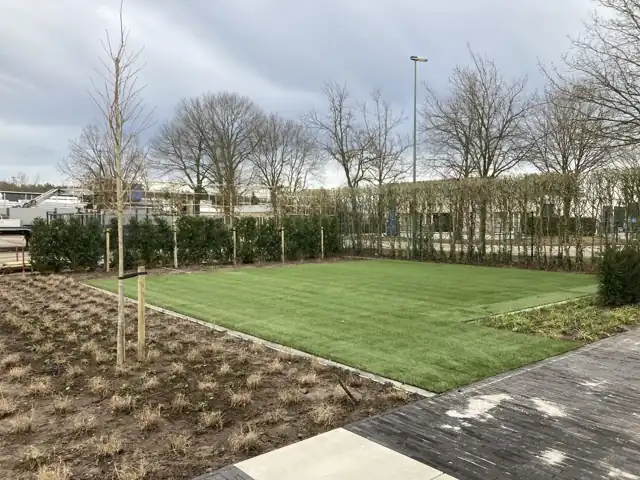 Ruime achtertuin met nieuw gazon en jonge bomen