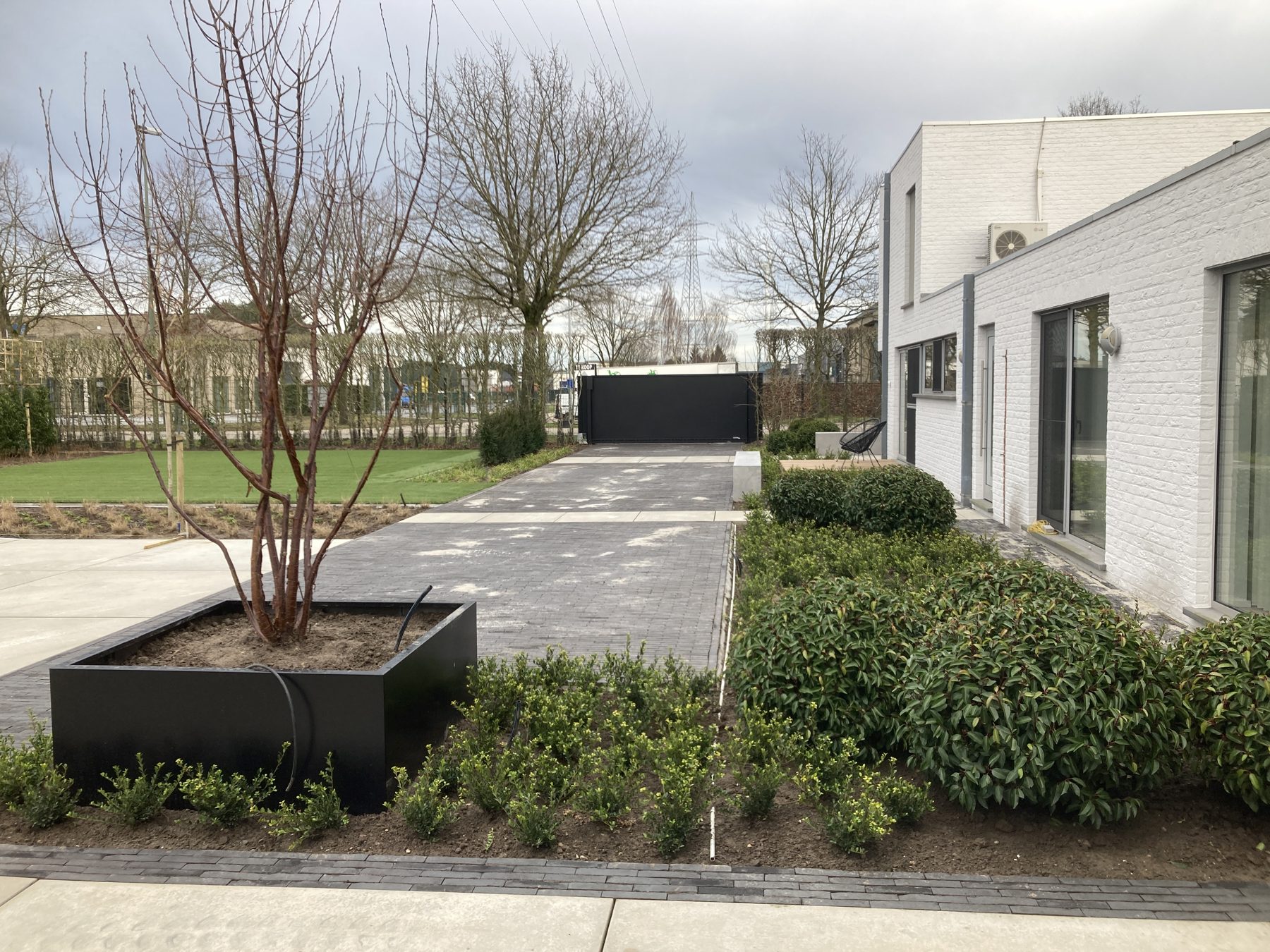 Tuin met buxusbollen, haag en terras