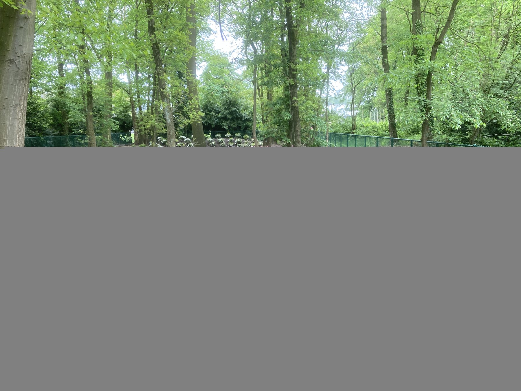 Bomenrij en groene berm na aanleg
