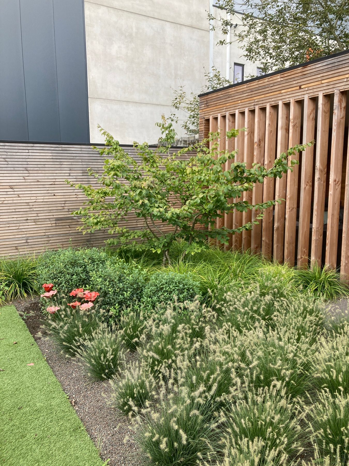 Border met beplanting tegen een houten schutting