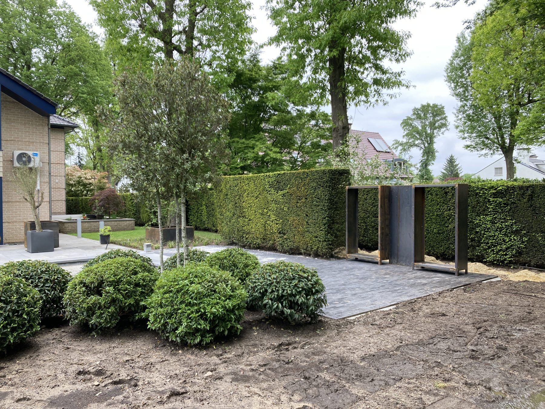 Ruime tuin met nieuw gazon en jonge bomen