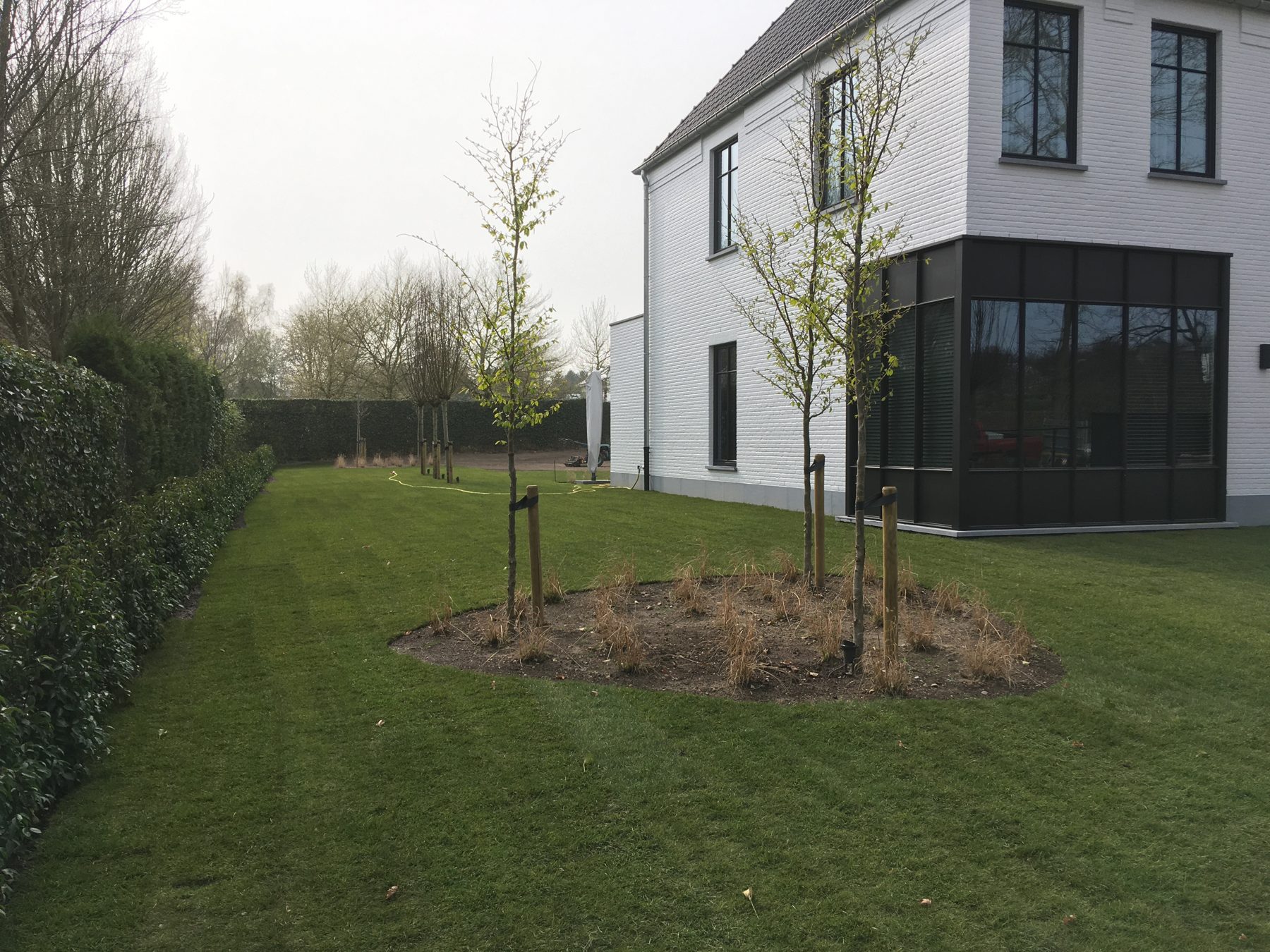 Aangelegde tuin met nieuw gazon en jonge bomen